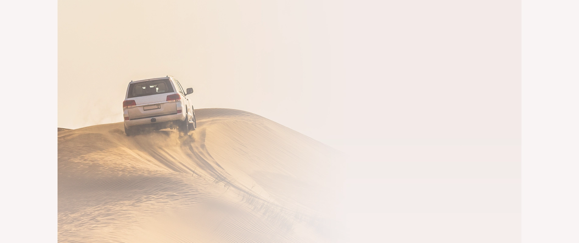 Desert safari adventures